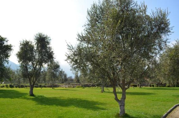 ????????????????????????????????????