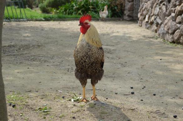 ????????????????????????????????????