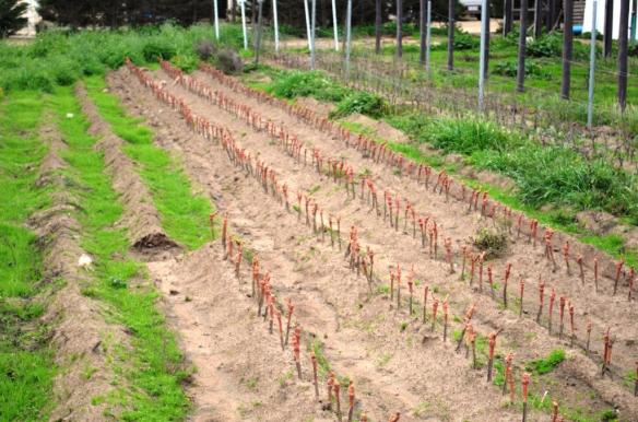 ????????????????????????????????????