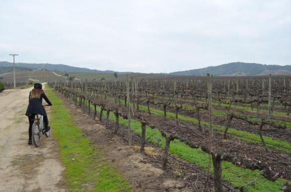 ????????????????????????????????????