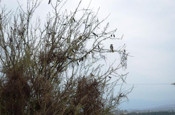 ????????????????????????????????????