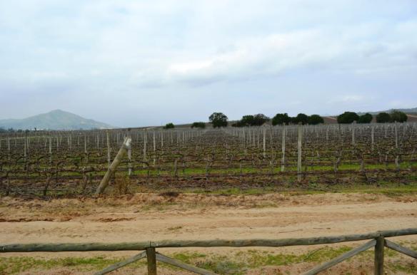 ????????????????????????????????????