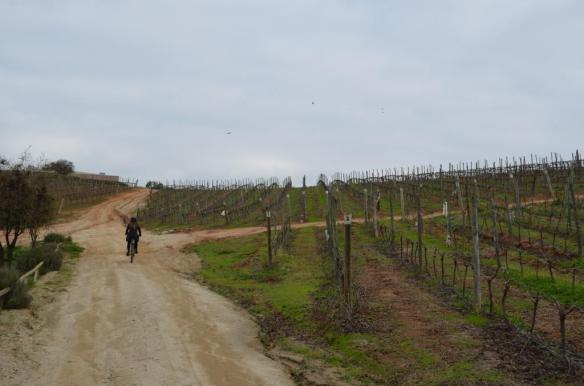 ????????????????????????????????????