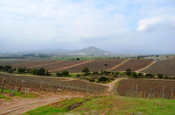 ????????????????????????????????????