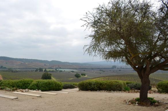 ????????????????????????????????????