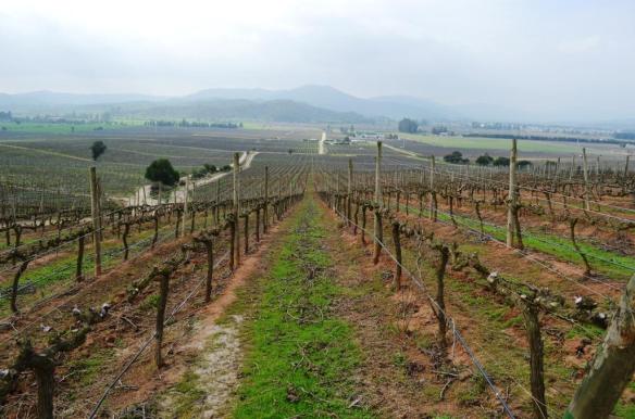 ????????????????????????????????????