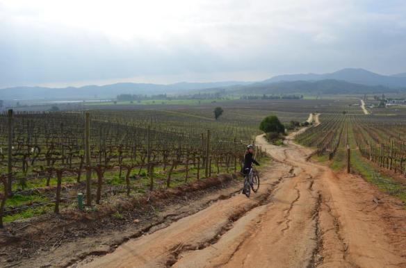 ????????????????????????????????????