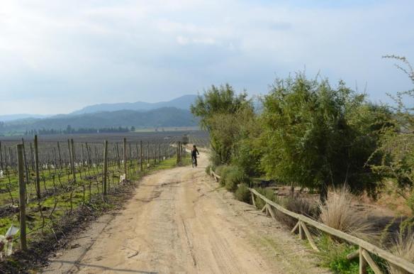 ????????????????????????????????????