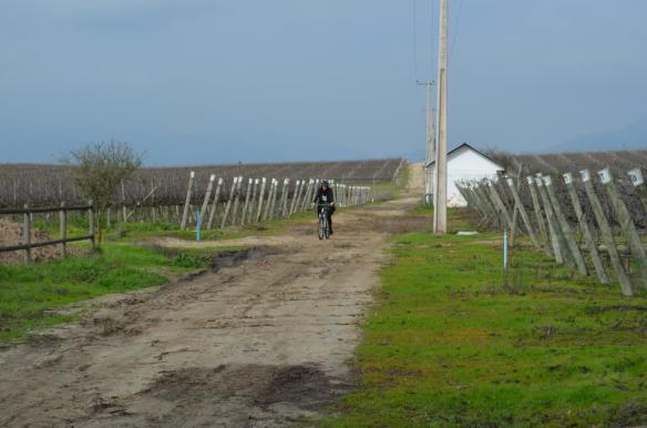 ????????????????????????????????????