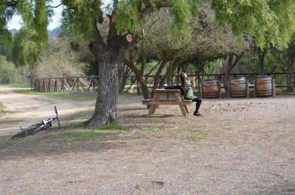 ????????????????????????????????????