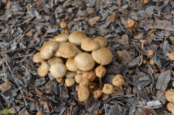 ????????????????????????????????????