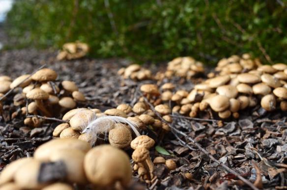 ????????????????????????????????????