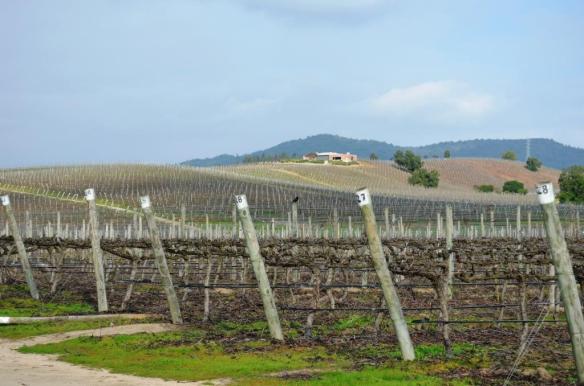 ????????????????????????????????????