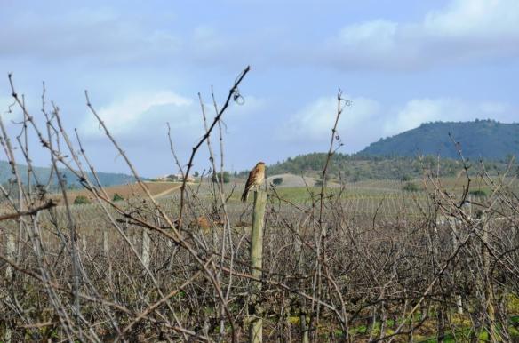 ????????????????????????????????????