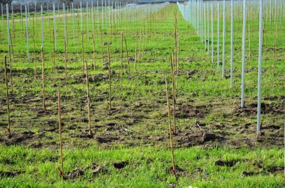 ????????????????????????????????????