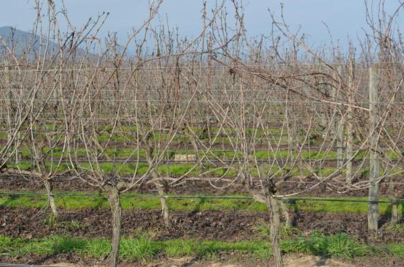 ????????????????????????????????????