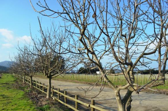 ????????????????????????????????????