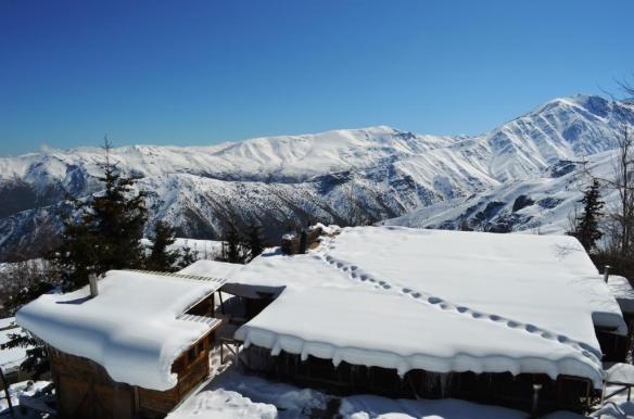 ????????????????????????????????????