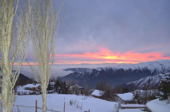 ????????????????????????????????????