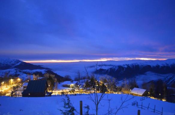 ????????????????????????????????????